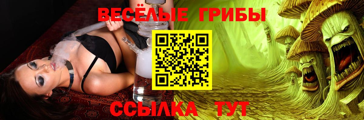 Псилоцибиновые грибы прущие грибы Ногинск