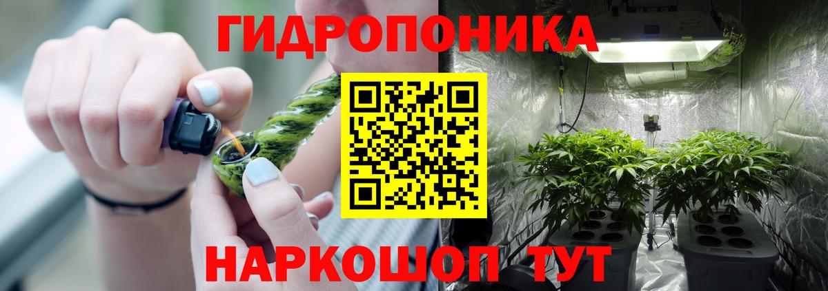 Каннабис SATIVA & INDICA  Шишки марихуана Amnesia  Ногинск  Вход с VPN  Бошки марихуана семена  Шишки марихуана VHQ 